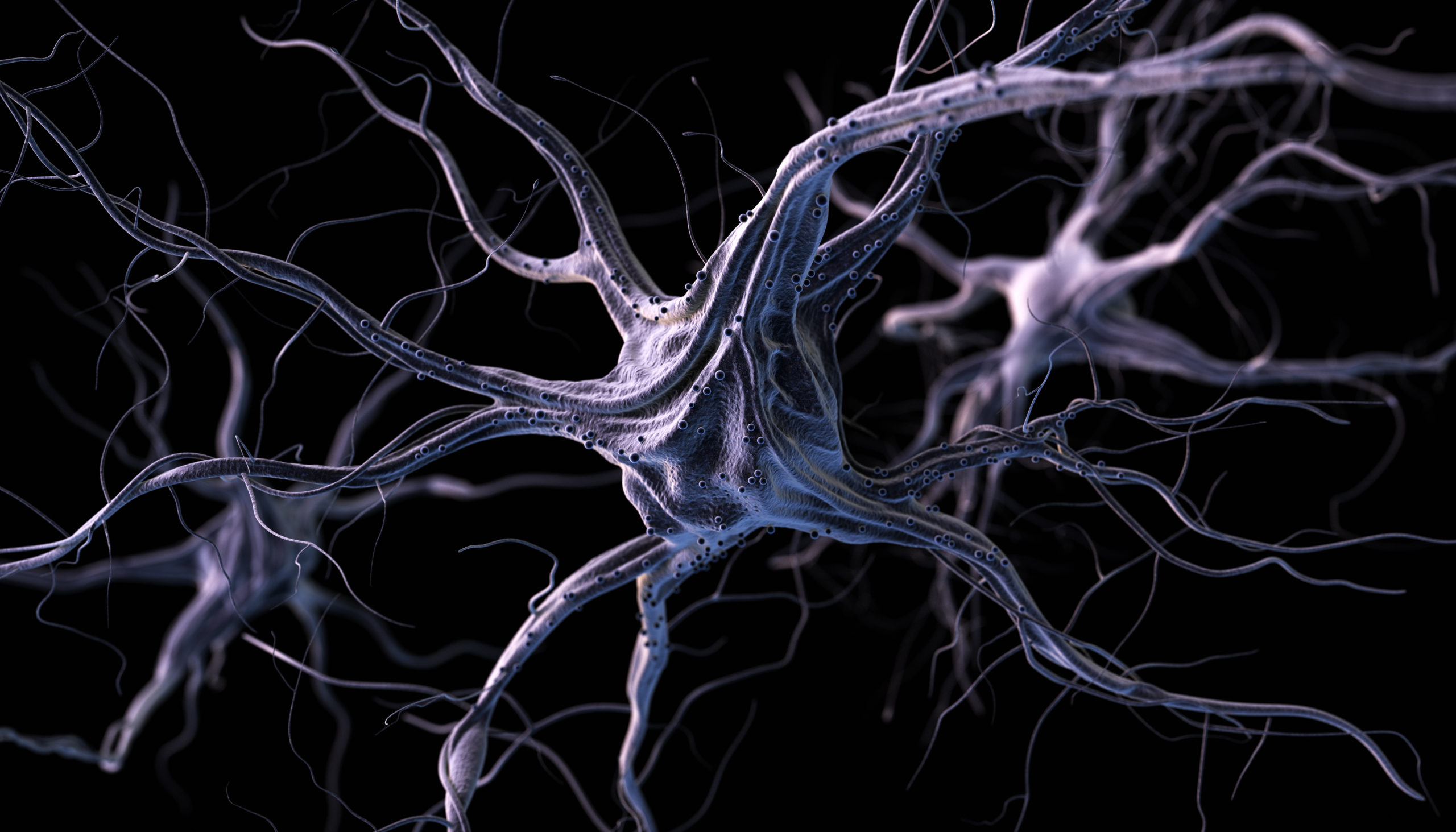Realistic brain neurons. 3d illustration.