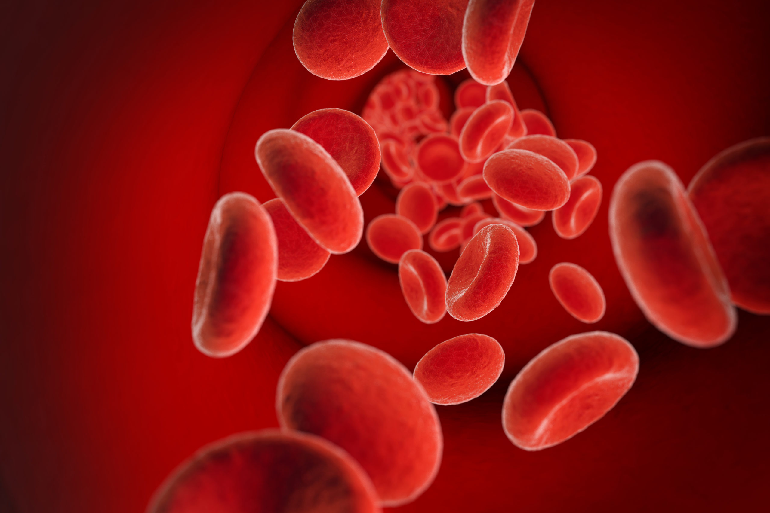 red cells in bloodstream, 3D illustration