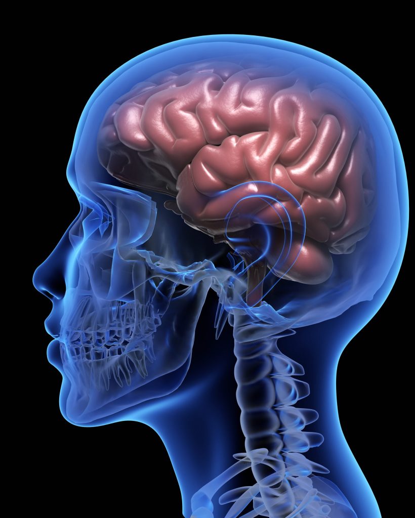 Human brain over black background. 3D illustration