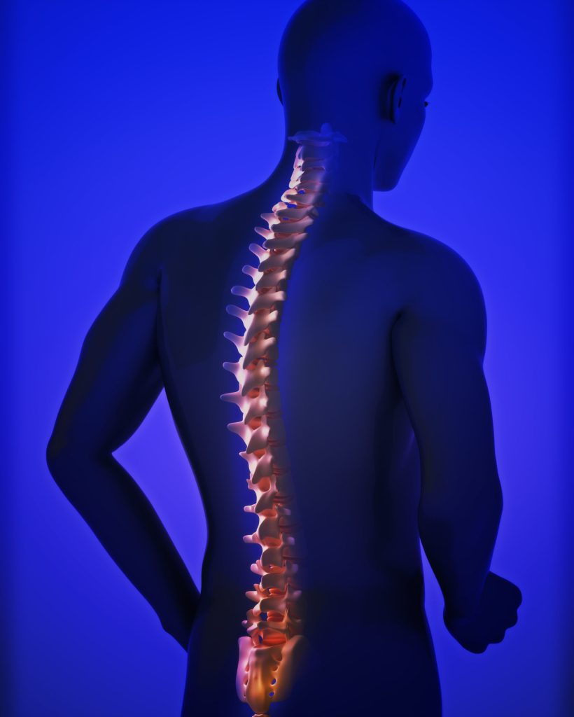 human-spine-2021-08-26-18-50-01-utc