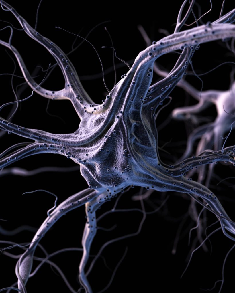 Realistic brain neurons. 3d illustration.
