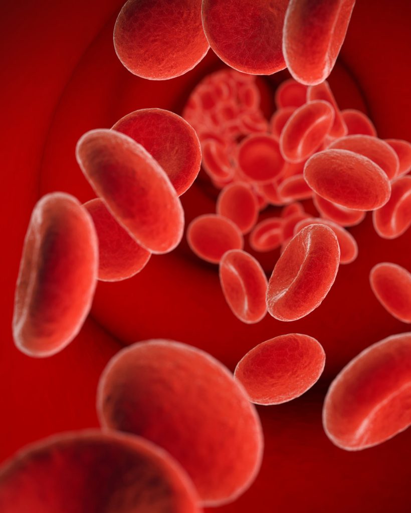red cells in bloodstream, 3D illustration
